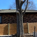 Dittmer Tree Service - Tree Service