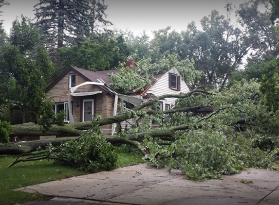 Halo Tree Service - Shelby charter Township, MI