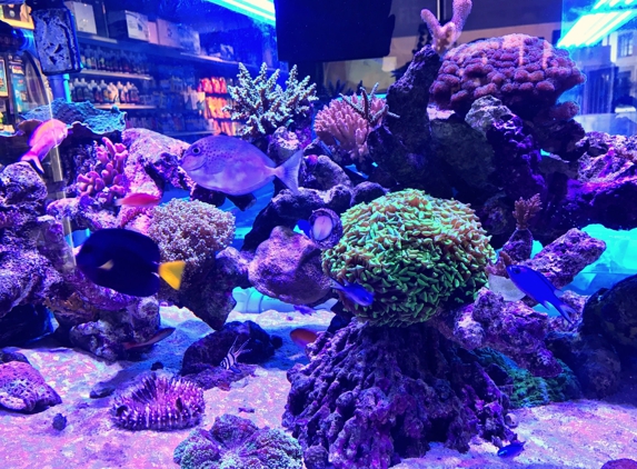 Seaside Tropical Fish & Pets - Huntington Beach, CA