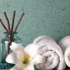 Ivy Spa & Wellness gallery