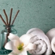 Ivy Spa & Wellness