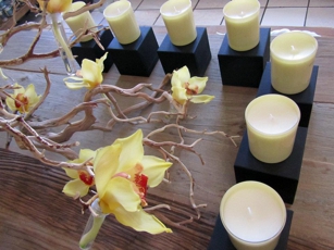 ZGO Fragrance & Apothecary candles