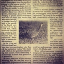 Vineyard Gazette - Newspapers