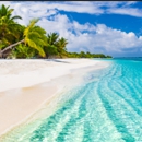 Cruise Planners - Far and Away Travel - Cruises