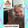 Playtime Pet Sitters and Dog Walkers gallery