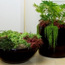 The Foliage Company - Plants