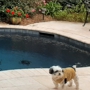 Southern Style Pool Service