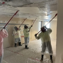 Advanced Environmental Testing & Abatement Inc - Asbestos Detection & Removal Services