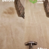 Always Green Carpet Cleaner gallery