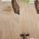 Always Green Carpet Cleaner - Carpet & Rug Cleaners