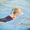 Colorado Swim School gallery