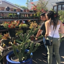 North Park Nursery - Garden Centers