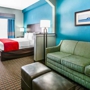 Comfort Suites Tampa - Brandon