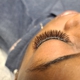 Lash Box-Syosset