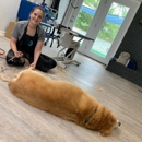 k-9 Bath Body & Boarding - Hostels