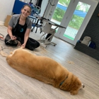 k-9 Bath Body & Boarding