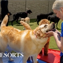 K9 Resorts Luxury Pet Hotel Stamford - Pet Boarding & Kennels