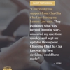 Cha Cha Cha Law | Lemon Law & Personal Injury | 레몬법 및 교통사고 법률사무소 gallery
