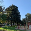 Whisman Park gallery