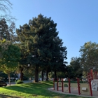 Whisman Park