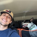 Dogs With Jag - Pet Training