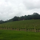 Joseph Phelps Vineyards