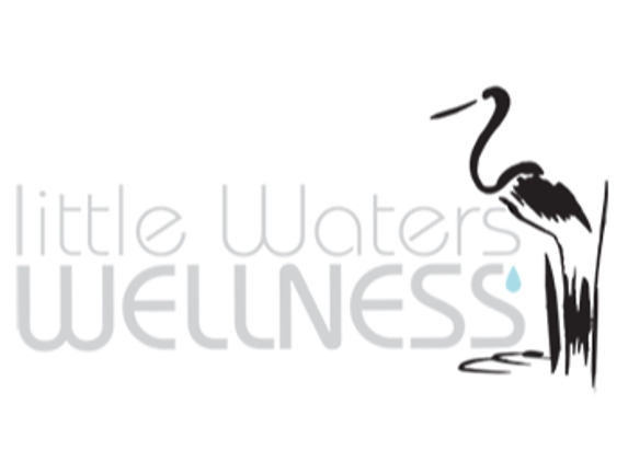 Little Waters Wellness with Dr. Kristina Wodicka - Valley Cottage, NY