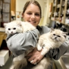Countryside Animal Clinic gallery