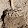 Indigo Topsoil Inc. gallery