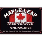 Maple Leaf Tree Service