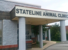 stateline animal hospital phone number