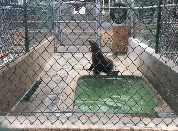 Marine Mammal Care Center - San Pedro, CA