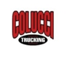 Colucci Trucking LLC gallery