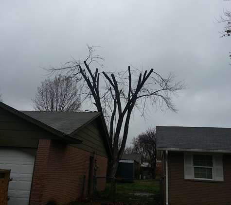 Affordable Tree Services & More - Tulsa, OK