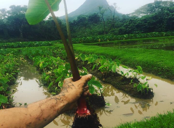 Malama 'Aina Landscape & Masonary Design - Kailua, HI