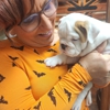 VCA Old Trail Animal Hospital gallery