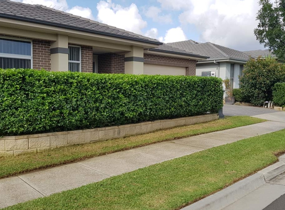 Mats Lawn And Garden Maintenance - Plumpton, NSW