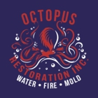 Octopus Restoration