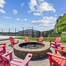 The View Apartments - Apartments