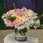 SoCo In Bloom