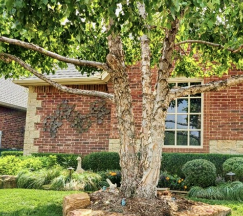 Sam's Tree Service & Stump Grinding - Edmond, OK