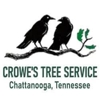 Crowe's Tree Service Experts gallery
