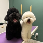 Barky Lounge