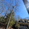 Rise Above Tree Care gallery