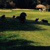Franklin Canyon Golf Course gallery
