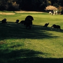 Franklin Canyon Golf Course - Golf Courses