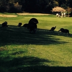 Franklin Canyon Golf Course