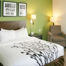Sleep Inn & Suites Stony Creek-Petersburg South - Motels