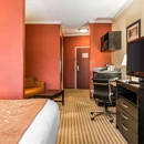 Comfort Suites - Motels