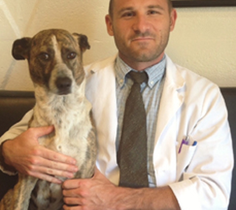 University Pet Hospital - La Mesa, CA